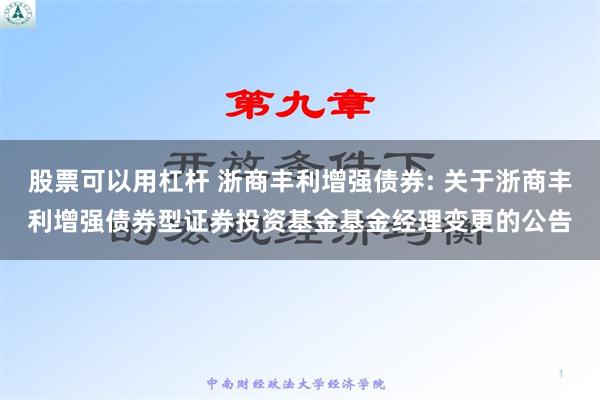 股票可以用杠杆 浙商丰利增强债券: 关于浙商丰利增强债券型证券投资基金基金经理变更的公告