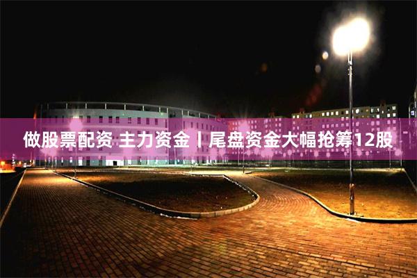 做股票配资 主力资金丨尾盘资金大幅抢筹12股