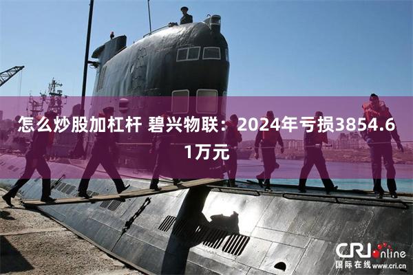 怎么炒股加杠杆 碧兴物联：2024年亏损3854.61万元