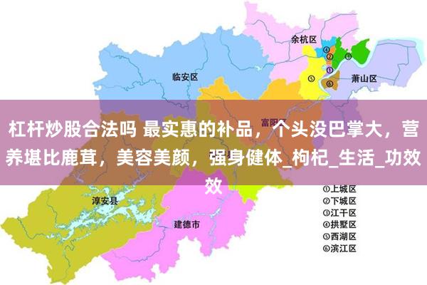 杠杆炒股合法吗 最实惠的补品，个头没巴掌大，营养堪比鹿茸，美容美颜，强身健体_枸杞_生活_功效