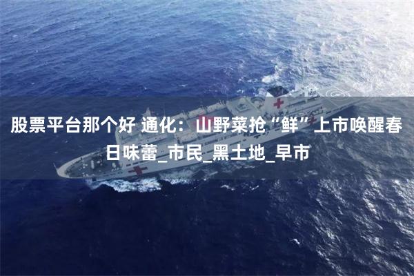 股票平台那个好 通化：山野菜抢“鲜”上市唤醒春日味蕾_市民_黑土地_早市