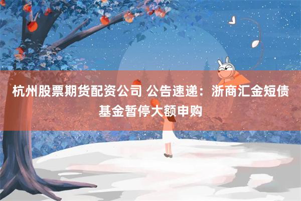 杭州股票期货配资公司 公告速递：浙商汇金短债基金暂停大额申购