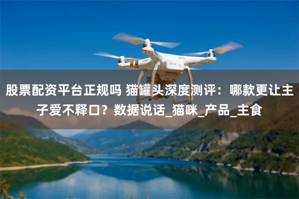 股票配资平台正规吗 猫罐头深度测评：哪款更让主子爱不释口？数据说话_猫咪_产品_主食