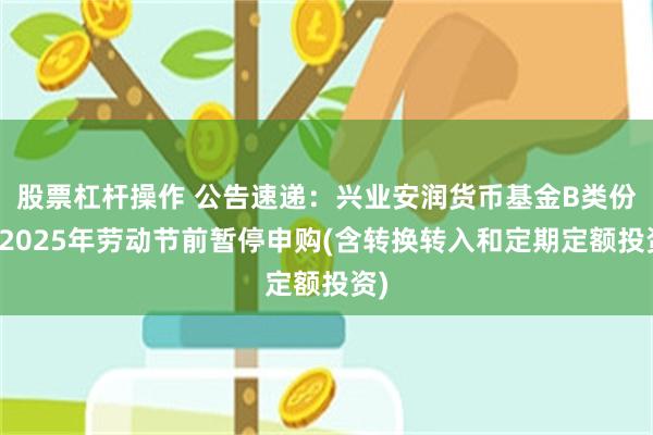 股票杠杆操作 公告速递：兴业安润货币基金B类份额2025年劳动节前暂停申购(含转换转入和定期定额投资)