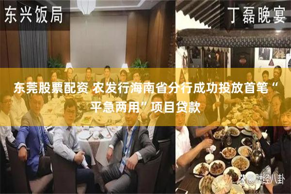 东莞股票配资 农发行海南省分行成功投放首笔“平急两用”项目贷款