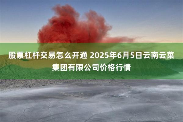 股票杠杆交易怎么开通 2025年6月5日云南云菜集团有限公司价格行情