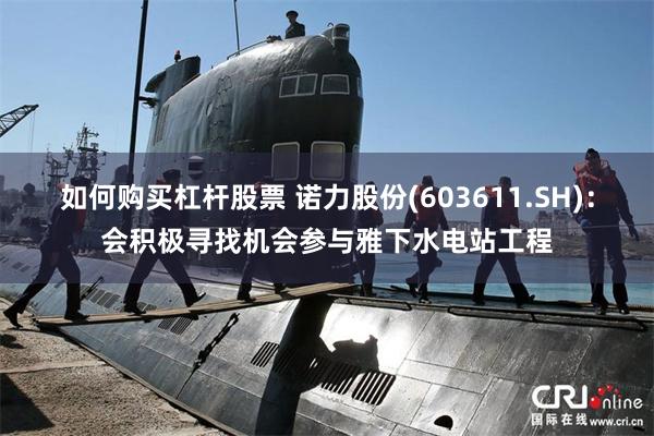 如何购买杠杆股票 诺力股份(603611.SH)：会积极寻找机会参与雅下水电站工程