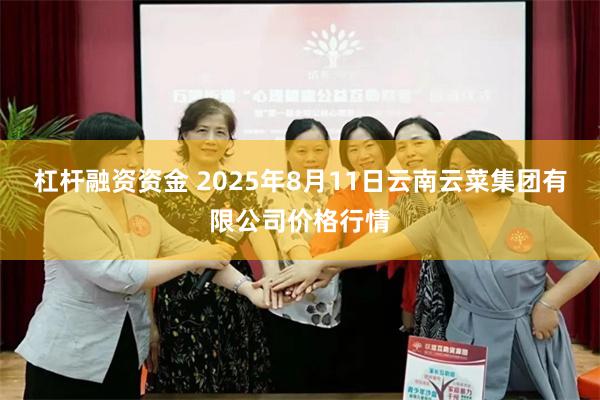 杠杆融资资金 2025年8月11日云南云菜集团有限公司价格行情