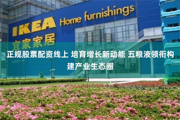 正规股票配资线上 培育增长新动能 五粮液领衔构建产业生态圈