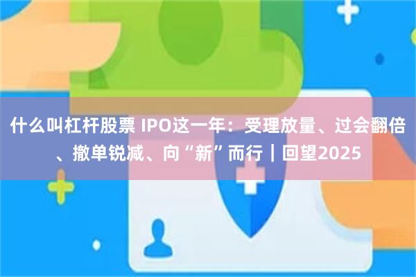 什么叫杠杆股票 IPO这一年：受理放量、过会翻倍、撤单锐减、向“新”而行｜回望2025