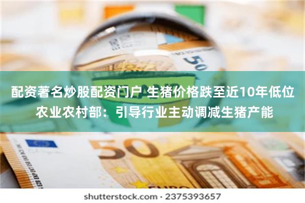 配资著名炒股配资门户 生猪价格跌至近10年低位 农业农村部：引导行业主动调减生猪产能