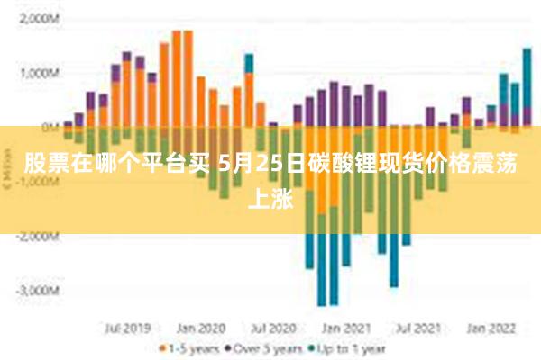 股票在哪个平台买 5月25日碳酸锂现货价格震荡上涨