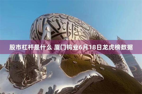 股市杠杆是什么 厦门钨业6月18日龙虎榜数据