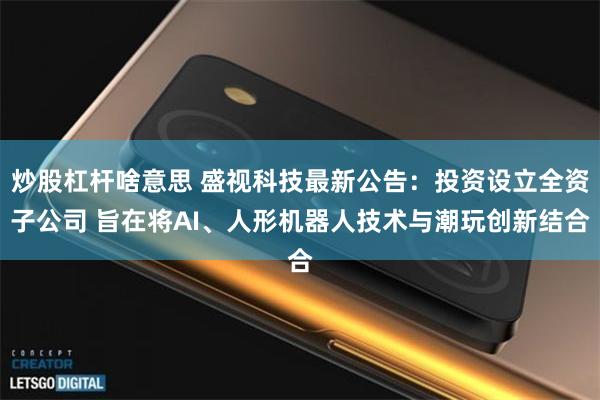炒股杠杆啥意思 盛视科技最新公告：投资设立全资子公司 旨在将AI、人形机器人技术与潮玩创新结合