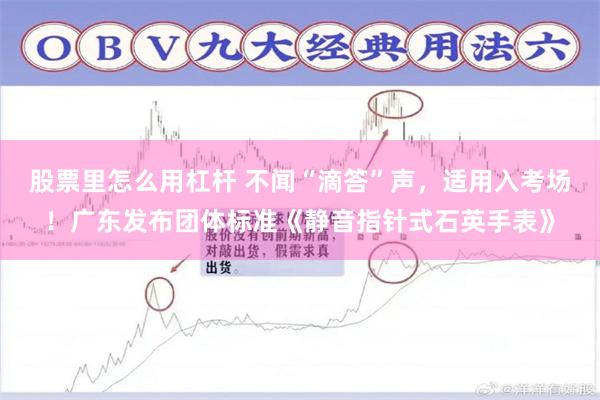 股票里怎么用杠杆 不闻“滴答”声，适用入考场！广东发布团体标准《静音指针式石英手表》