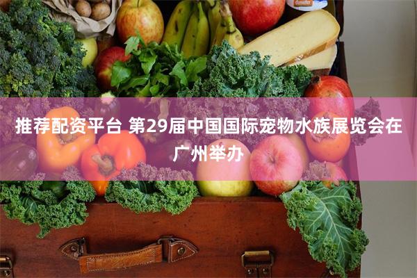 推荐配资平台 第29届中国国际宠物水族展览会在广州举办
