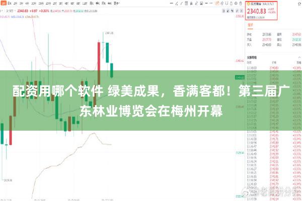 配资用哪个软件 绿美成果，香满客都！第三届广东林业博览会在梅州开幕
