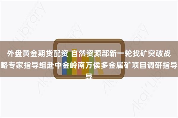 外盘黄金期货配资 自然资源部新一轮找矿突破战略专家指导组赴中金岭南万侯多金属矿项目调研指导