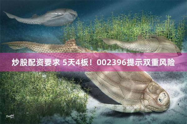 炒股配资要求 5天4板！002396提示双重风险