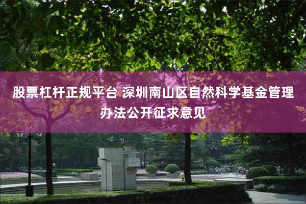股票杠杆正规平台 深圳南山区自然科学基金管理办法公开征求意见