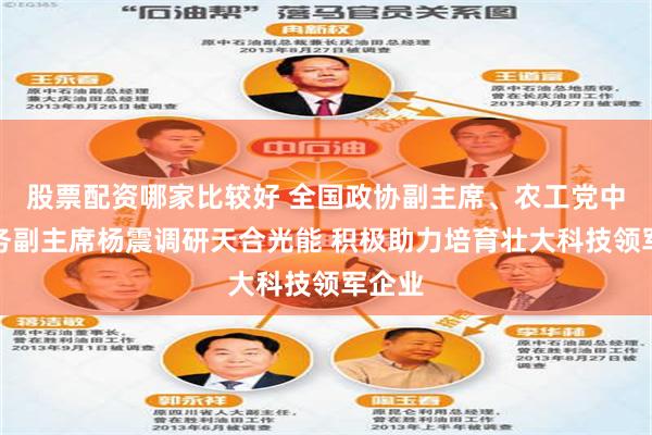 股票配资哪家比较好 全国政协副主席、农工党中央常务副主席杨震调研天合光能 积极助力培育壮大科技领军企业
