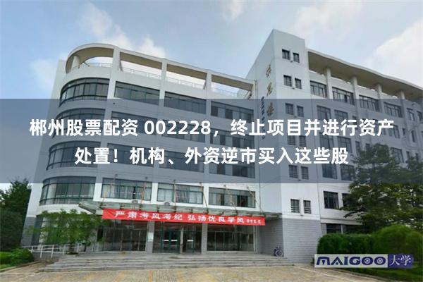 郴州股票配资 002228，终止项目并进行资产处置！机构、外资逆市买入这些股
