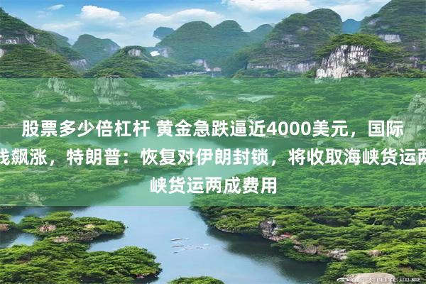 股票多少倍杠杆 黄金急跌逼近4000美元,国际油价直线飙涨,特朗普:恢复对伊朗封锁,将收取海峡货运两成费用