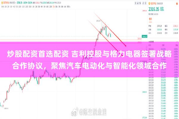 炒股配资首选配资 吉利控股与格力电器签署战略合作协议,聚焦汽车电动化与智能化领域合作