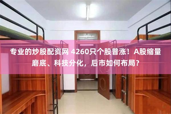 专业的炒股配资网 4260只个股普涨！A股缩量磨底、科技分化，后市如何布局？