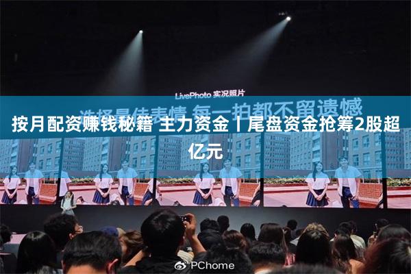 按月配资赚钱秘籍 主力资金丨尾盘资金抢筹2股超亿元