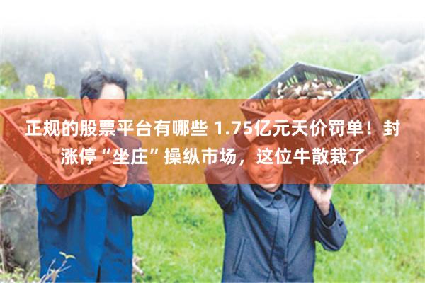 正规的股票平台有哪些 1.75亿元天价罚单！封涨停“坐庄”操纵市场，这位牛散栽了