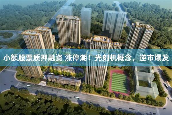 小额股票质押融资 涨停潮！光刻机概念，逆市爆发