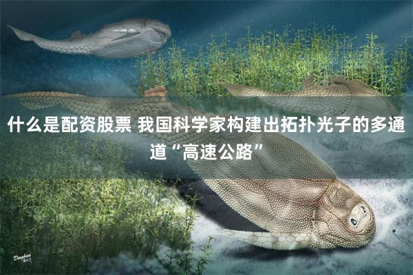 什么是配资股票 我国科学家构建出拓扑光子的多通道“高速公路”