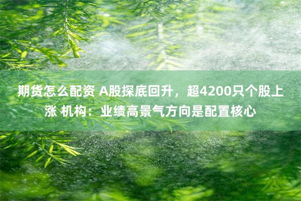 期货怎么配资 A股探底回升,超4200只个股上涨 机构:业绩高景气方向是配置核心