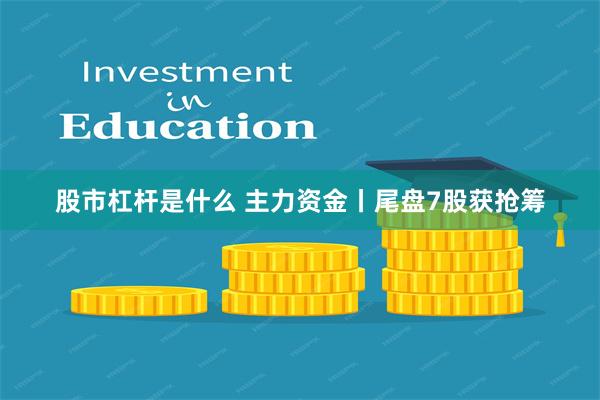 股市杠杆是什么 主力资金丨尾盘7股获抢筹