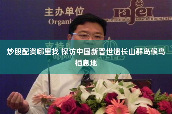 炒股配资哪里找 探访中国新晋世遗长山群岛候鸟栖息地
