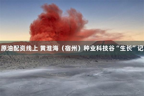 原油配资线上 黄淮海（宿州）种业科技谷“生长”记