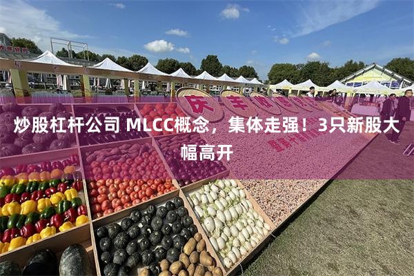 炒股杠杆公司 MLCC概念，集体走强！3只新股大幅高开