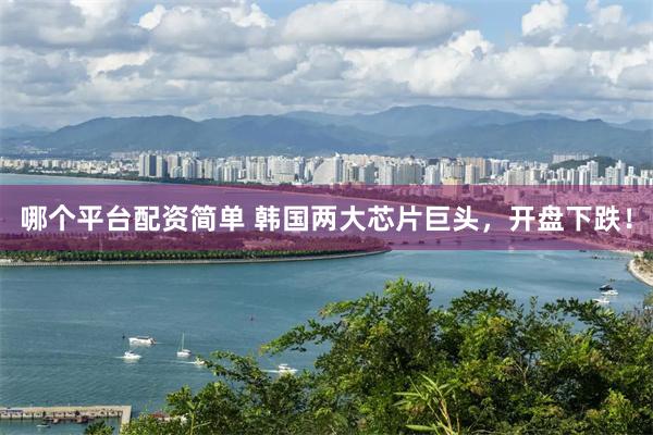 哪个平台配资简单 韩国两大芯片巨头，开盘下跌！