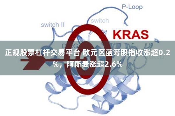 正规股票杠杆交易平台 欧元区蓝筹股指收涨超0.2%，阿斯麦涨超2.6%