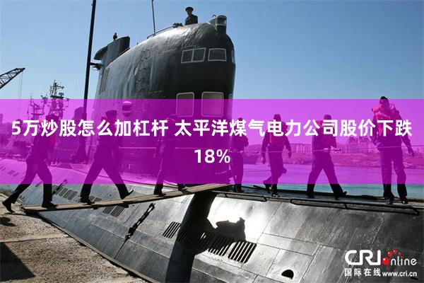 5万炒股怎么加杠杆 太平洋煤气电力公司股价下跌18%