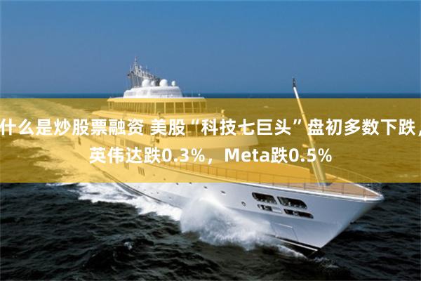 什么是炒股票融资 美股“科技七巨头”盘初多数下跌，英伟达跌0.3%，Meta跌0.5%