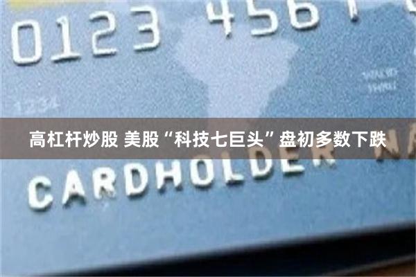 高杠杆炒股 美股“科技七巨头”盘初多数下跌