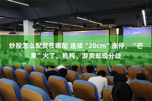 炒股怎么配资在哪配 连续“20cm”涨停，“芒果”火了，机构、游资却现分歧