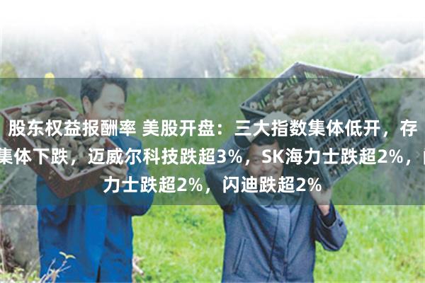 股东权益报酬率 美股开盘：三大指数集体低开，存储芯片板块集体下跌，迈威尔科技跌超3%，SK海力士跌超2%，闪迪跌超2%