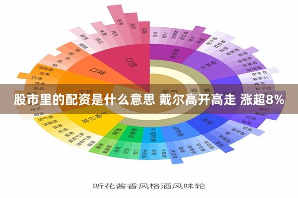 股市里的配资是什么意思 戴尔高开高走 涨超8%