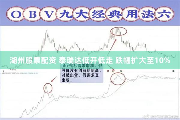 湖州股票配资 泰瑞达低开低走 跌幅扩大至10%