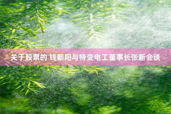 关于股票的 钱朝阳与特变电工董事长张新会谈