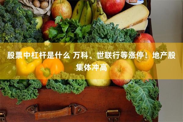 股票中杠杆是什么 万科、世联行等涨停！地产股集体冲高