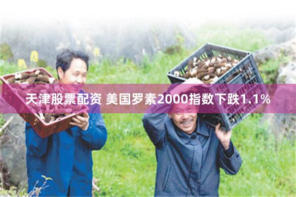 天津股票配资 美国罗素2000指数下跌1.1%